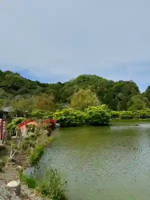 白水阿弥陀堂の{uncategorized: "未分類", other: "その他", undefined: "問題あり", building: "その他建物", grave: "お墓", sacred_gate: "鳥居", guardian: "狛犬", statue: "像", buddha: "仏像", history: "歴史", nature: "自然", garden: "庭園", animal: "動物", pagoda: "塔", temizu: "手水舎", mountain_gate: "山門・神門", sanctuary: "本殿・本堂", subordinate: "末社・摂社", art: "芸術", scenery: "景色", jizo: "地蔵", ema: "絵馬", goshuin: "御朱印", omikuji: "おみくじ", items: "授与品その他", amulet: "お守り", goshuincho: "御朱印帳", eats: "食事", festival: "お祭り", votive_dance: "神楽", shichigosan: "七五三参", wedding: "結婚式", experience: "体験その他", initially: "初詣", around: "周辺", anti_infection: "感染症対策"}