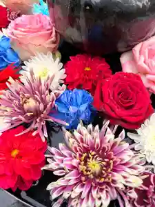 神楽坂安養寺(東京都)(2025年11月02日(日) 15時40分31秒投稿)