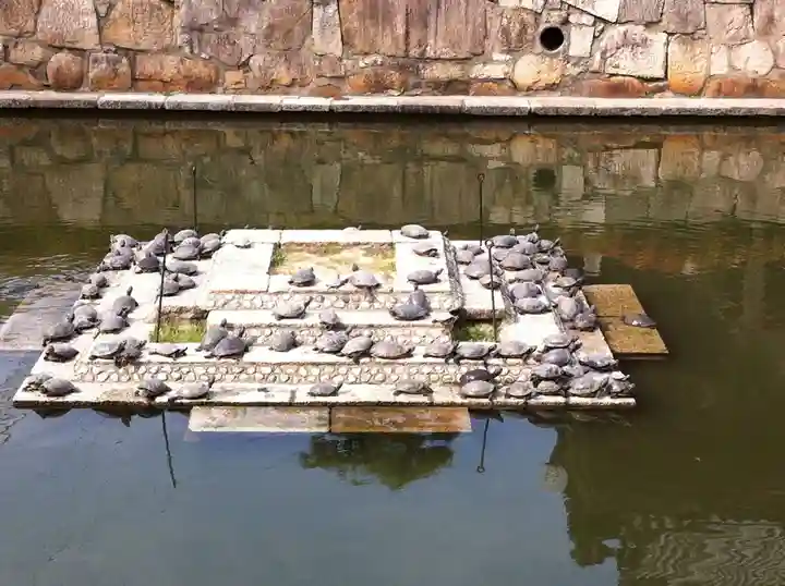 四天王寺(大阪府)