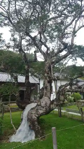 医王寺(愛知県)