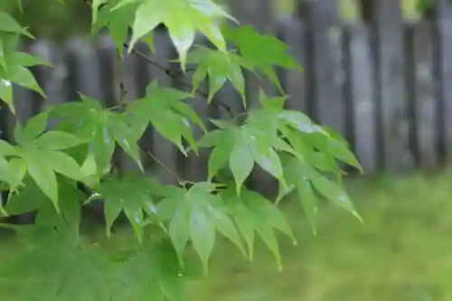 今熊野観音寺(京都府)