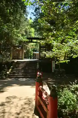 武蔵二宮 金鑚神社(埼玉県)
