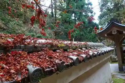 狸谷山不動院のその他建物