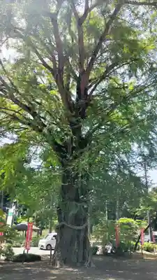 神野寺(千葉県)