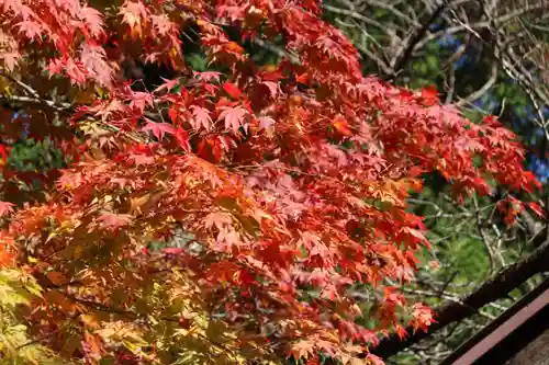 若狭神宮寺の自然