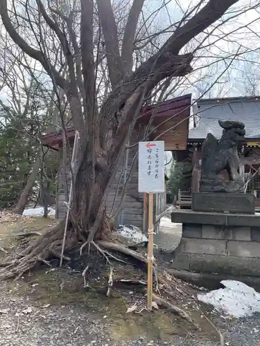 相馬神社のその他建物