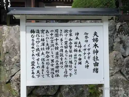 夫婦木神社(山梨県)