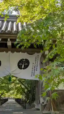 光明寺（粟生光明寺）(京都府)