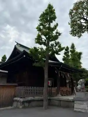 お三の宮日枝神社の{uncategorized: "未分類", other: "その他", undefined: "問題あり", building: "その他建物", grave: "お墓", sacred_gate: "鳥居", guardian: "狛犬", statue: "像", buddha: "仏像", history: "歴史", nature: "自然", garden: "庭園", animal: "動物", pagoda: "塔", temizu: "手水舎", mountain_gate: "山門・神門", sanctuary: "本殿・本堂", subordinate: "末社・摂社", art: "芸術", scenery: "景色", jizo: "地蔵", ema: "絵馬", goshuin: "御朱印", omikuji: "おみくじ", items: "授与品その他", amulet: "お守り", goshuincho: "御朱印帳", eats: "食事", festival: "お祭り", votive_dance: "神楽", shichigosan: "七五三参", wedding: "結婚式", experience: "体験その他", initially: "初詣", around: "周辺", anti_infection: "感染症対策"}