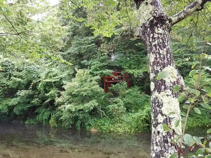 稲荷社(忍野八海 出口池)の自然