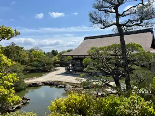 仁和寺の庭園