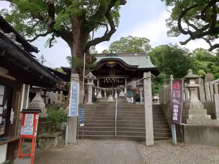 津田八幡神社(徳島県)