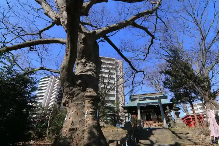 愛宕神社の景色