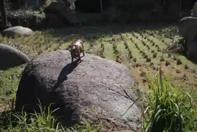 岐阜護國神社のその他建物