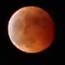 くまくま神社(導きの社 熊野町熊野神社)の自然