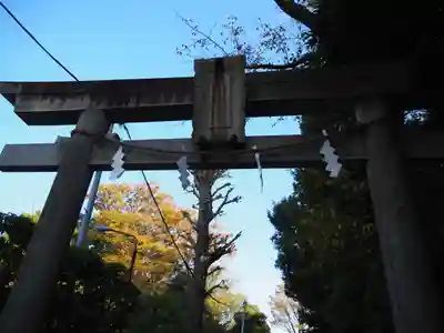豊玉氷川神社の鳥居