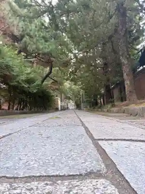 建仁寺（建仁禅寺）(京都府)