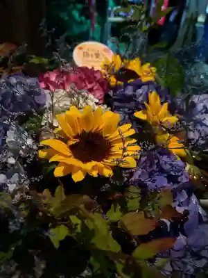 滑川神社 - 仕事と子どもの守り神の手水舎