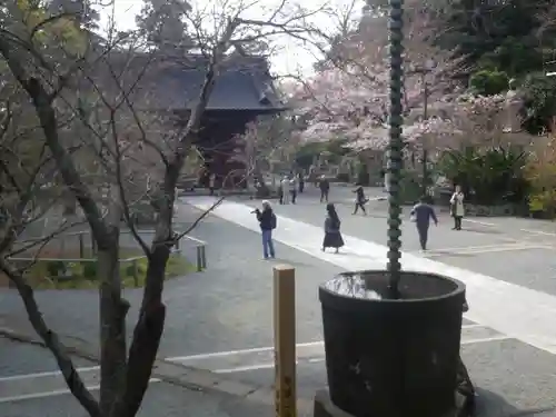 妙本寺のその他建物