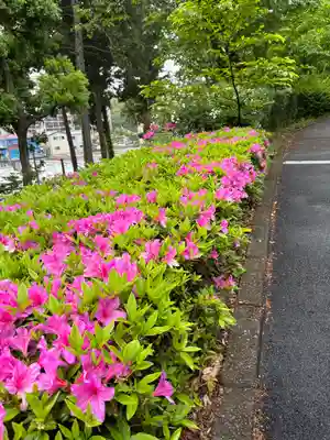 狭山山不動寺(埼玉県)