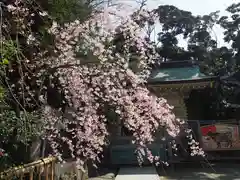 新田神社の自然