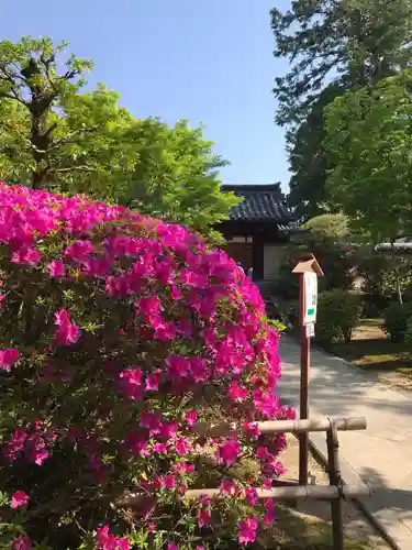 唐招提寺の庭園