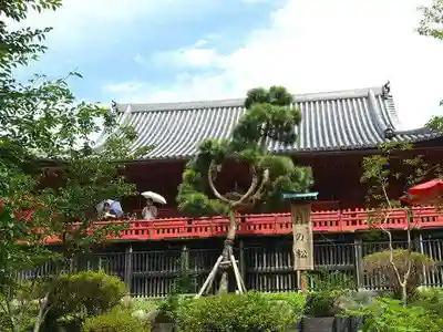 清水観音堂の本殿・本堂