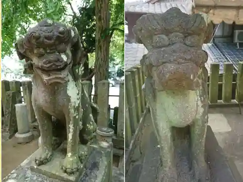 別所琴平神社の狛犬