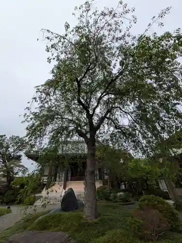 圓照寺(東京都)