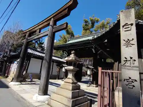 白峯神宮(京都府)