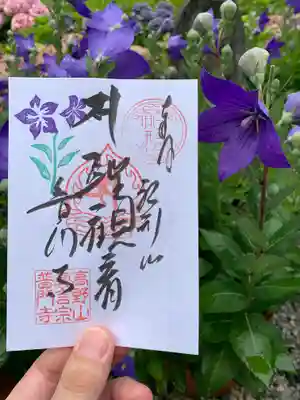 普門寺(切り絵御朱印発祥の寺)(愛知県)