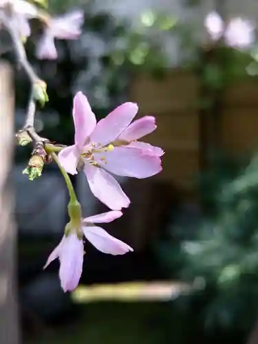 子安神社(東京都)