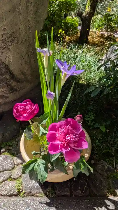 宝蔵寺(京都府)