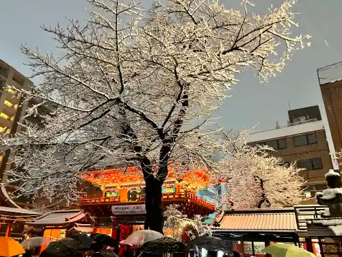 神田神社（神田明神）の自然