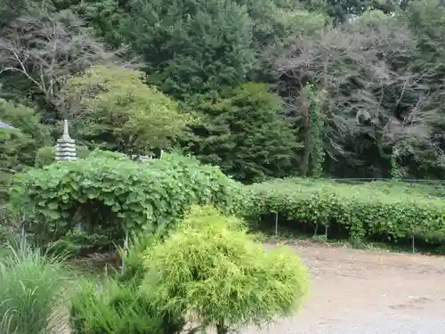 遍照寺(埼玉県)