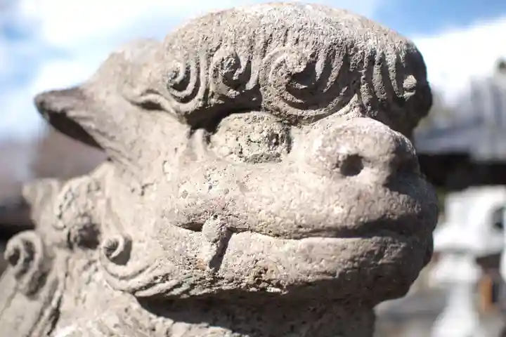 上高野神社の狛犬