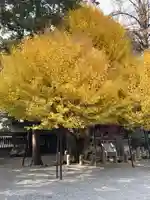 秩父神社の自然