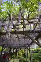 亀戸天神社(東京都)