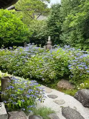 霊源院(京都府)