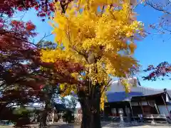 慈光寺(愛知県)