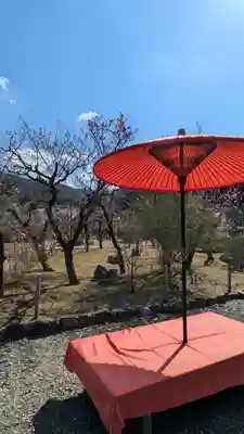 隨心院(随心院)(京都府)