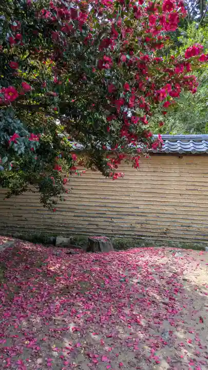 仁和寺(京都府)