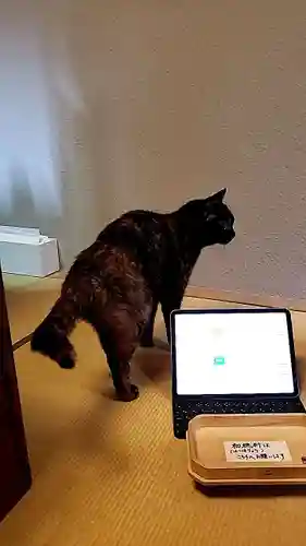 五十稲荷神社(栄寿稲荷神社)(東京都)