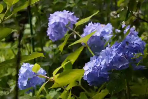 尻岸内八幡神社の景色