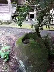市姫神社の庭園
