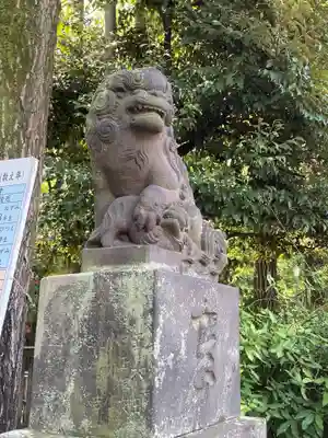 富岡八幡宮の狛犬