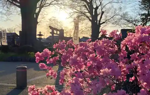 白鳥神社の自然