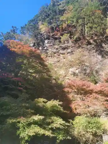 蓬莱神社の景色