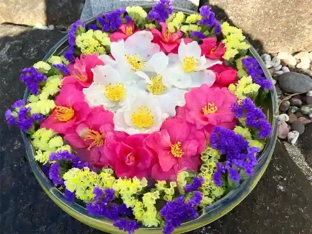 真言宗 善通寺派 薬王寺(香川県)