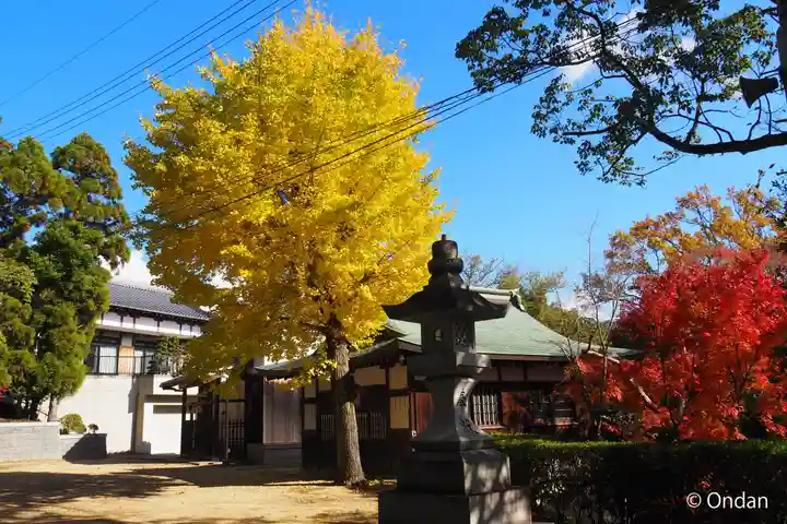 多井畑厄除八幡宮(兵庫県)